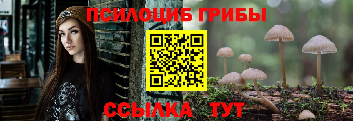 Псилоцибиновые грибы GOLDEN TEACHER Звенигород