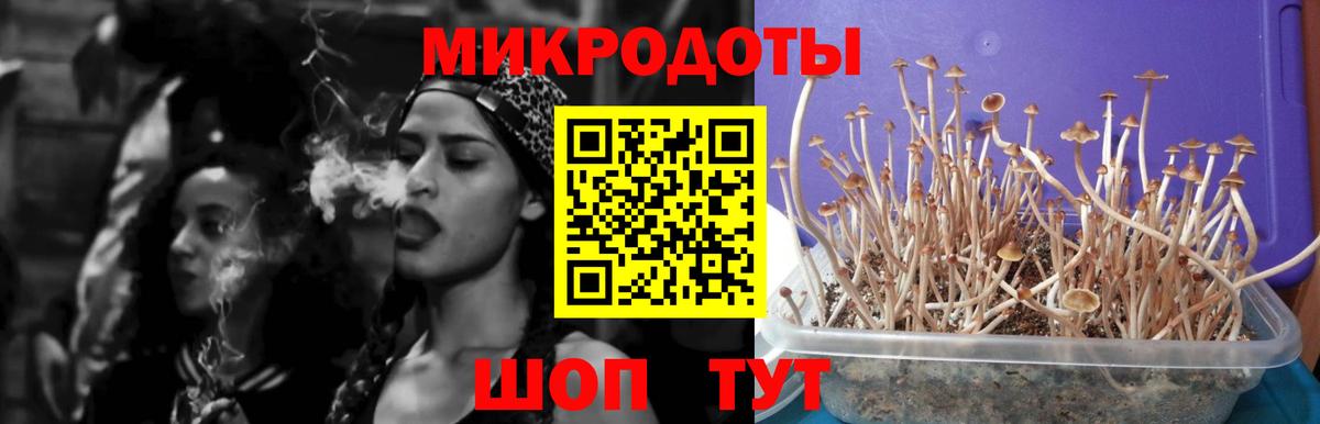 где можно купить наркотик  Галлюциногенные грибы Cubensis  Вход с VPN  Псилоцибиновые грибы GOLDEN TEACHER  Звенигород 